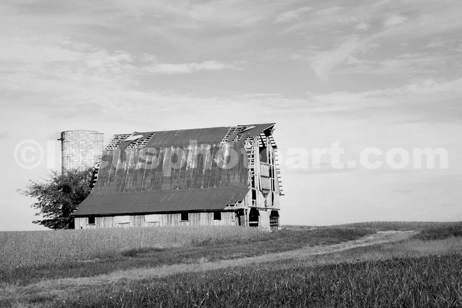 Dairy_Barn_2327_BW.jpg