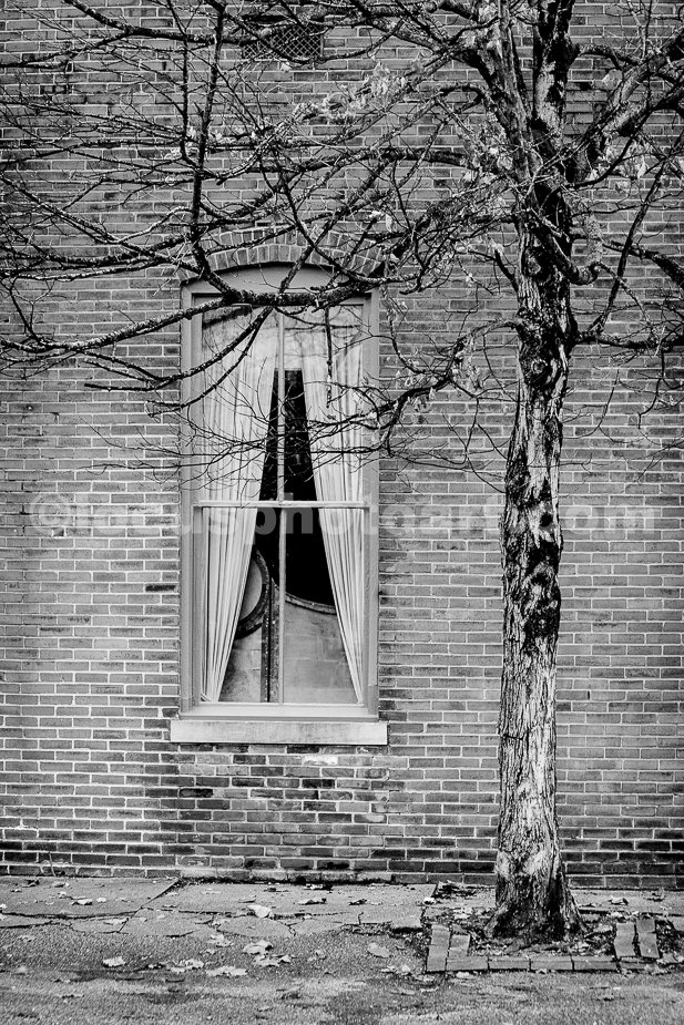 J19_The_Green_Window_5696_BW.jpg