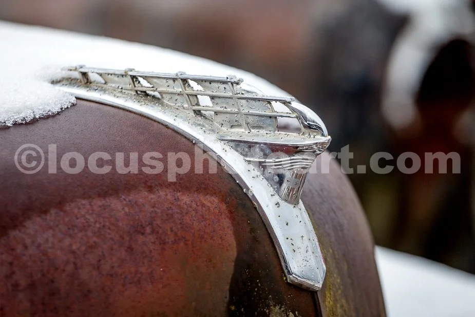J21_Frozen_Hood_Ornament_3780.jpg