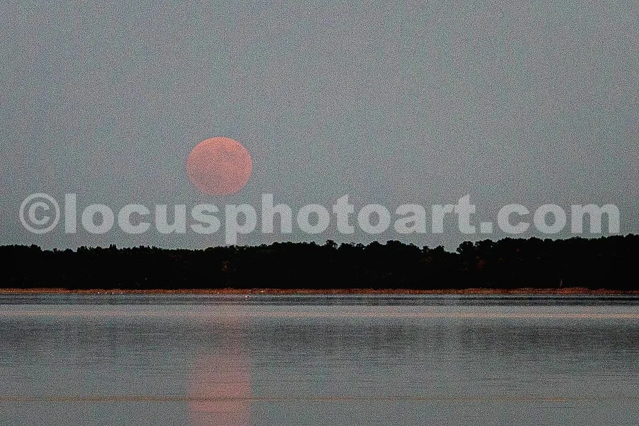 J24_Super_Harvest_Moonrise_Over_Carlyle_Lake_2024_9318.jpg