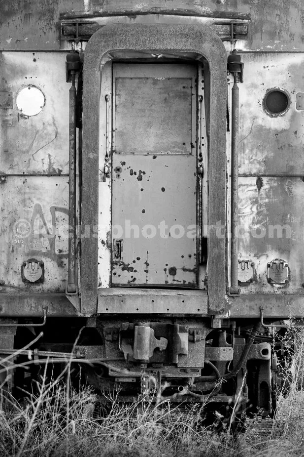 J21_Passenger_Car_Door_5142_BW.jpg