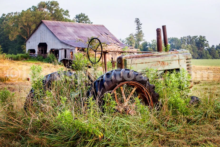 J19_Deere_and_Barn_at_Dawn_0684.jpg
