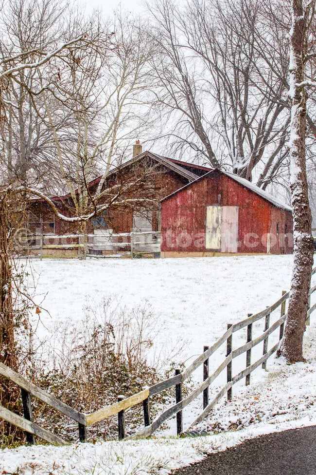 South Mulberry Christmas Eve.jpg