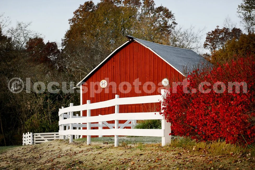 Red Barn and Fence.jpg