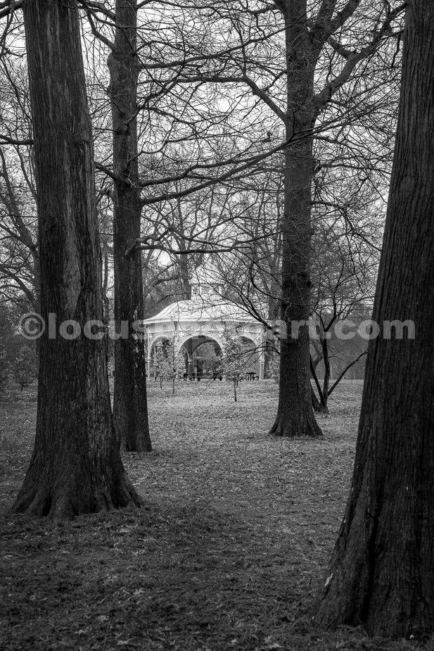 J24_Gazebo_Viewed_through_the_Trees_3096_BW.jpg