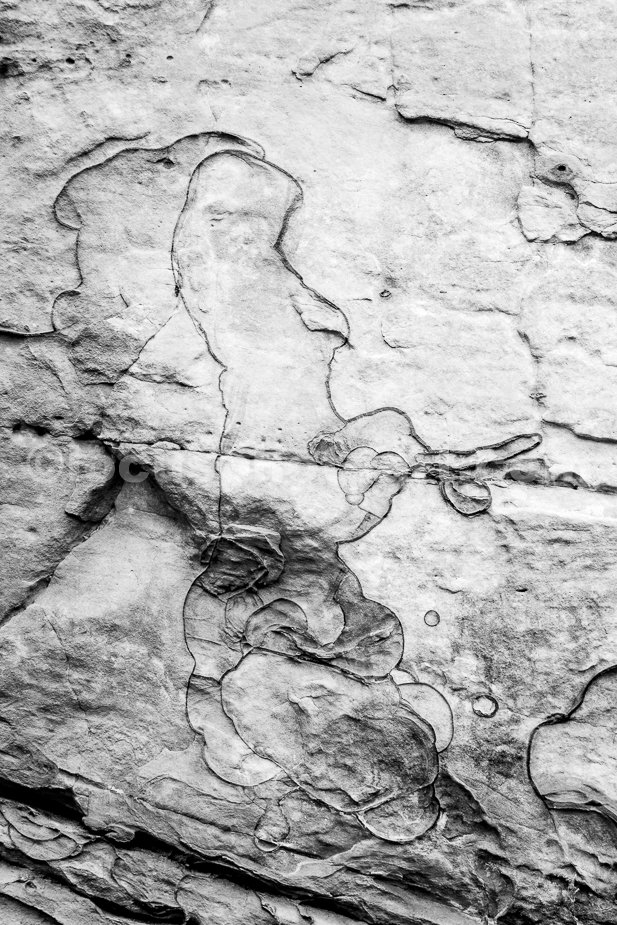 J20_Patterns_in_Stone_7378_BW.jpg