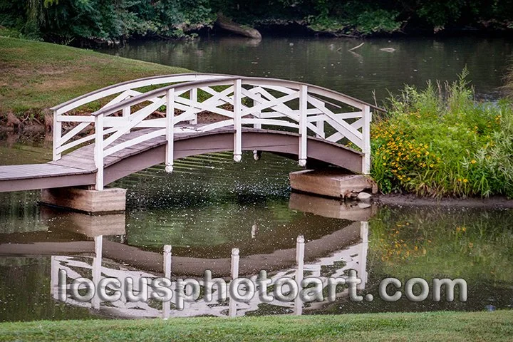 WEB J19 Bucolic Bridge 7523.jpg