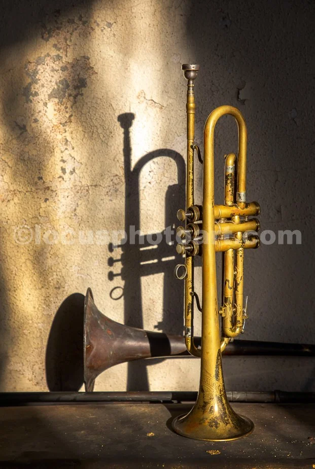 J23_Musical_Shadows_0088.jpg