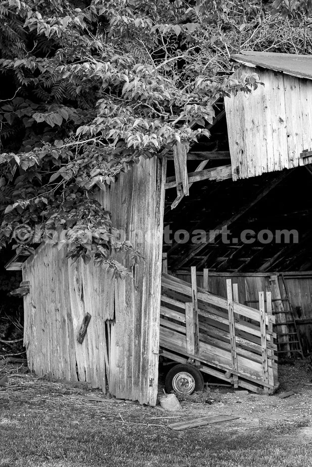 J24_Cattle_Ramp_in_the_Shed_9537_BW.jpg
