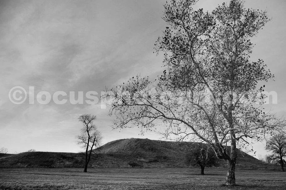 Monk_s_Mound_Sunset_0513_BW.jpg
