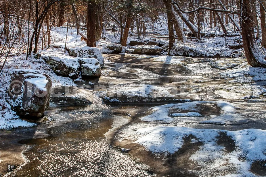 J21_Mid_Winter_Meandering_Creek_4486.jpg