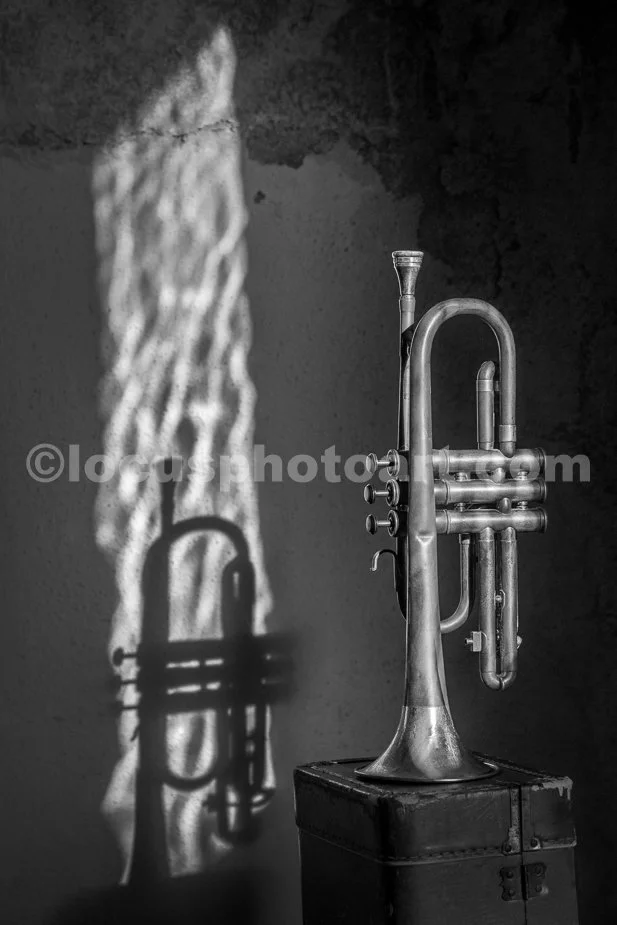 J23_Cornet_by_Window_Light_0224_BW.jpg