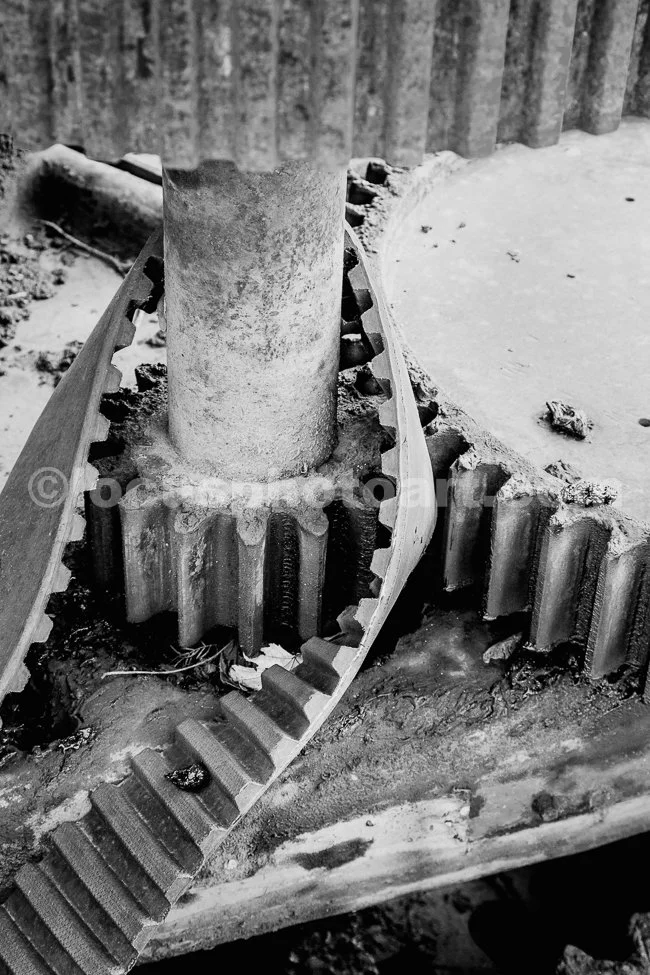 J20_Drive_Belt_and_Gears_9029_BW.jpg