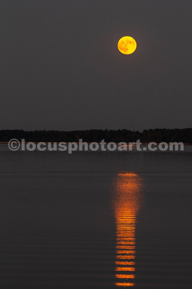 J24_Super_Harvest_Moon_Reflected_9358.jpg