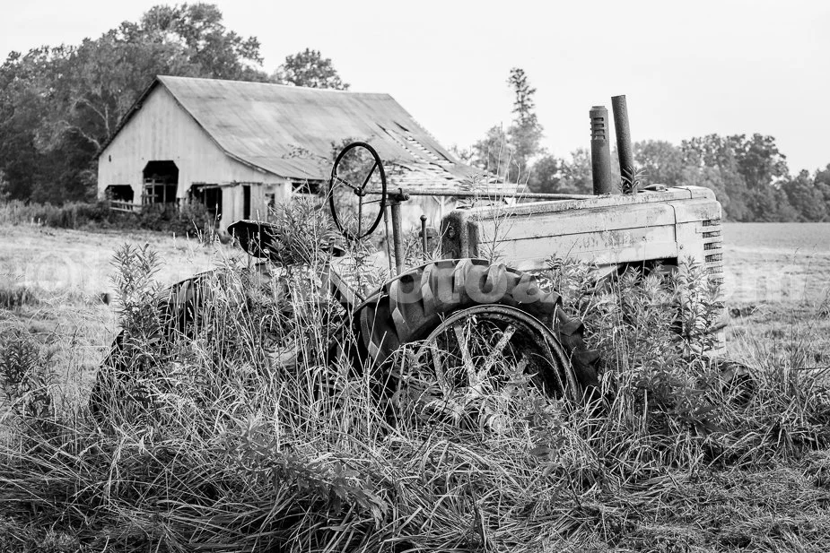 J19_Deere_and_Barn_at_Dawn_0684_BW.jpg