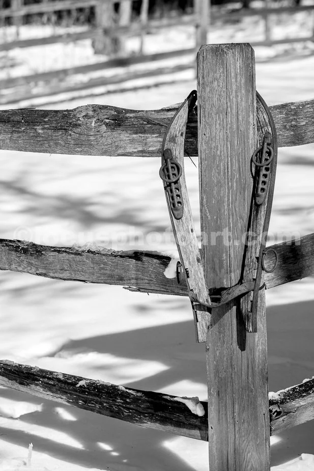 J21_Hames_on_Fencepost_5349_BW.jpg