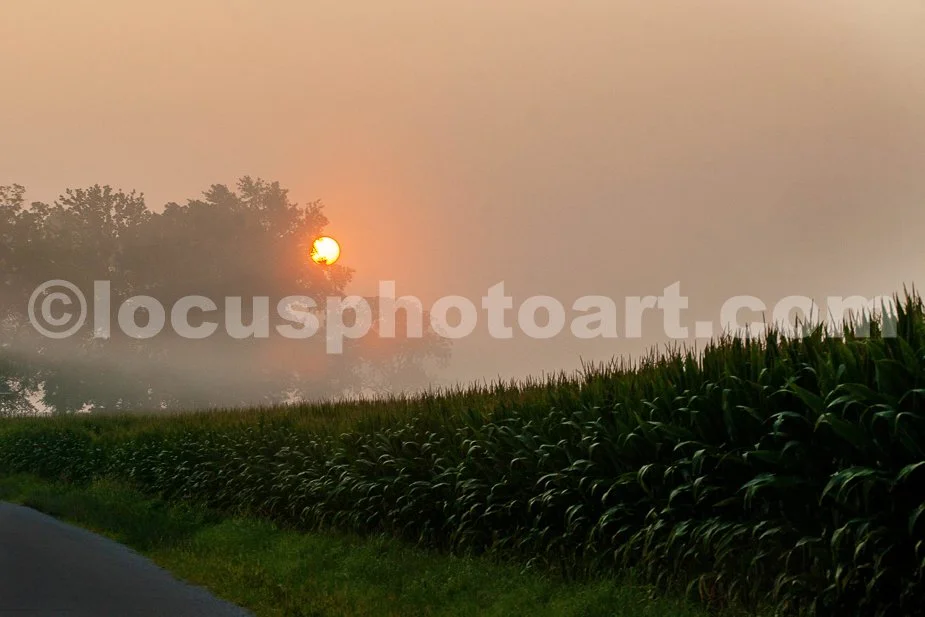 J24_July_Sunrise_in_Corn_Country_0466.jpg