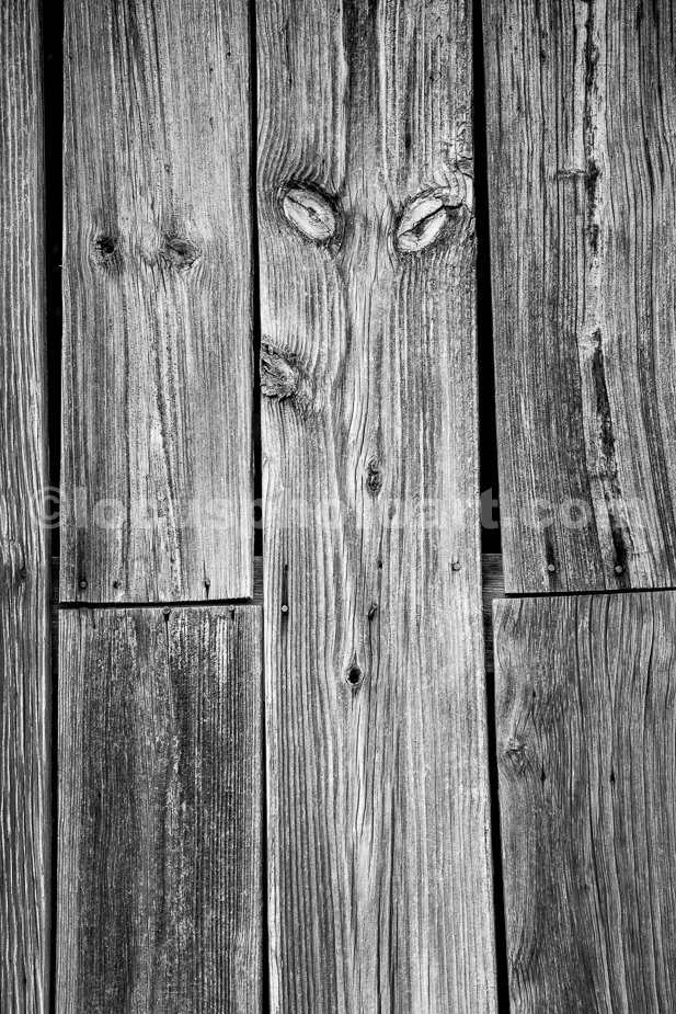 J24_Barnwood_Expression_9554_BW.jpg