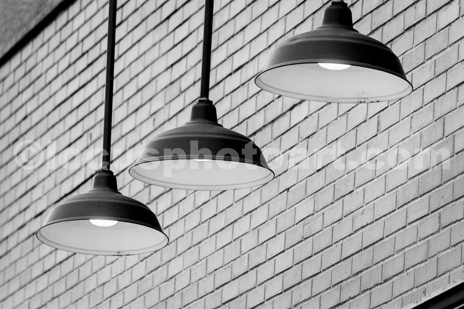 J19_Lighting_the_Way_5614_BW.jpg