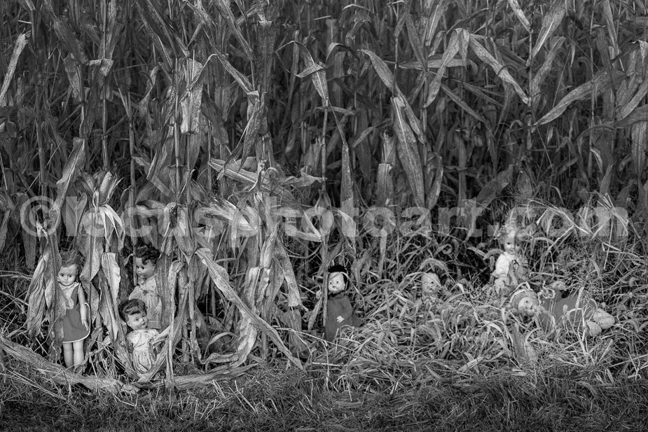 J24_Dollies_of_the_Corn_9451_BW.jpg