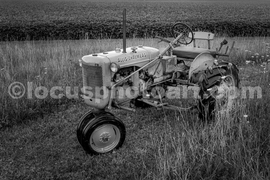 J23_Allis_by_the_Bean_Field_2532_BW.jpg