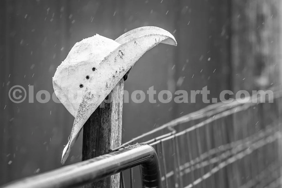 J23_Hat_on_Fencepost_in_Snow_2216_BW.jpg