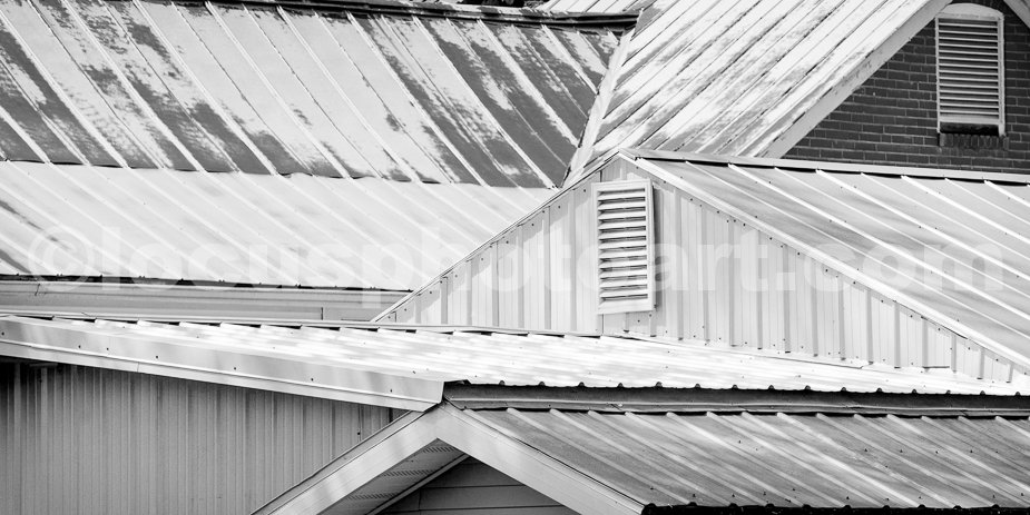 J16_Rooflines_in_Metal_2935_BW.jpg
