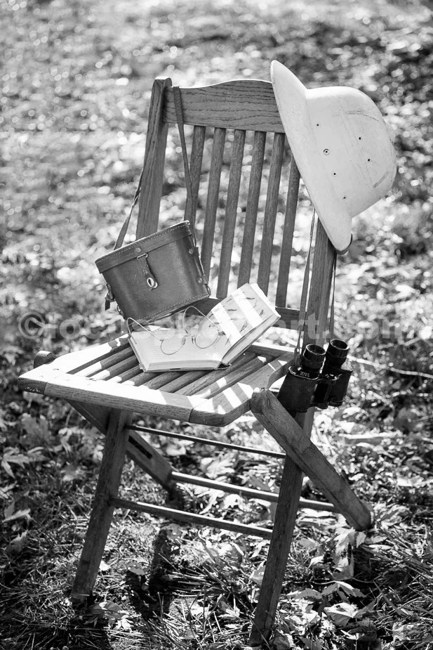 J19_Birdwatcher_s_Chair_1479_BW.jpg