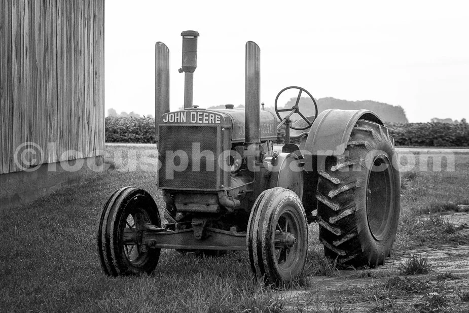 J23_Deere_by_the_Barn_9355_BW.jpg