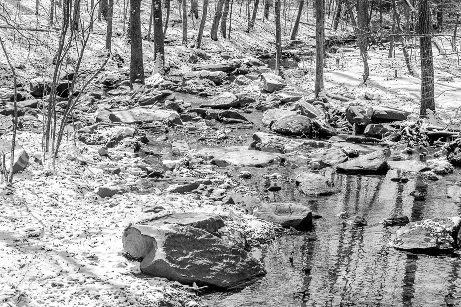 J21_Wandering_Winter_Stream_4572_BW.jpg