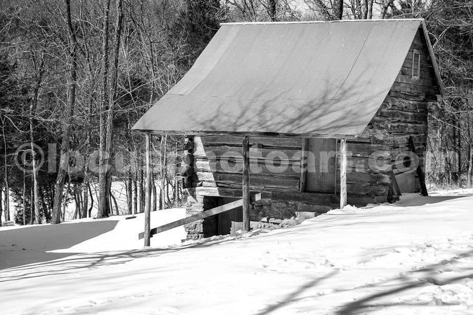 J21_Cabin_on_the_Hillside_5341_BW.jpg