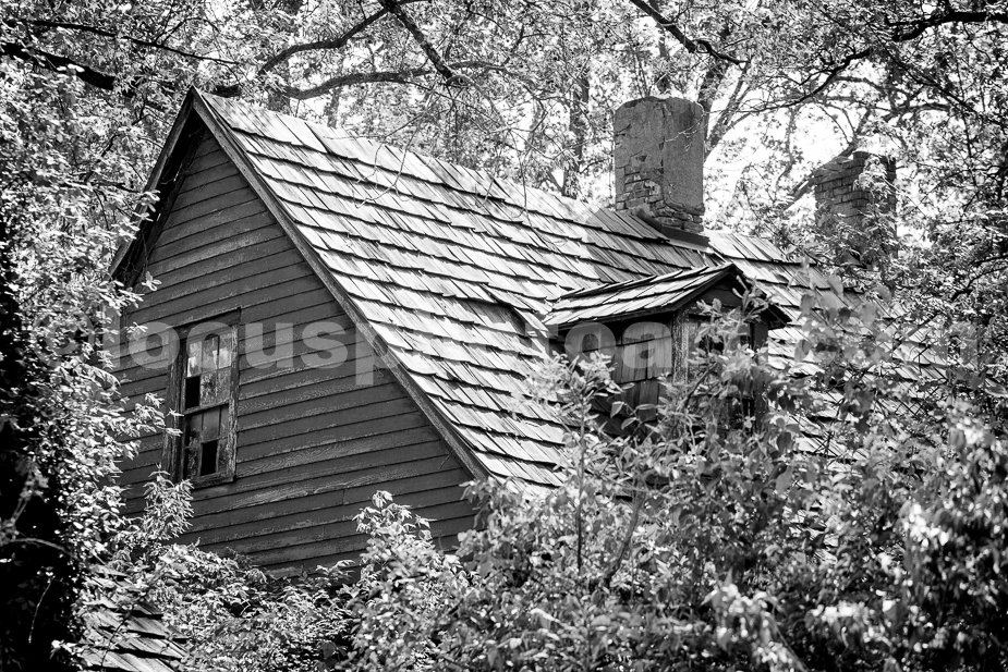J16_Little_House_in_the_Woods_2955_BW.jpg