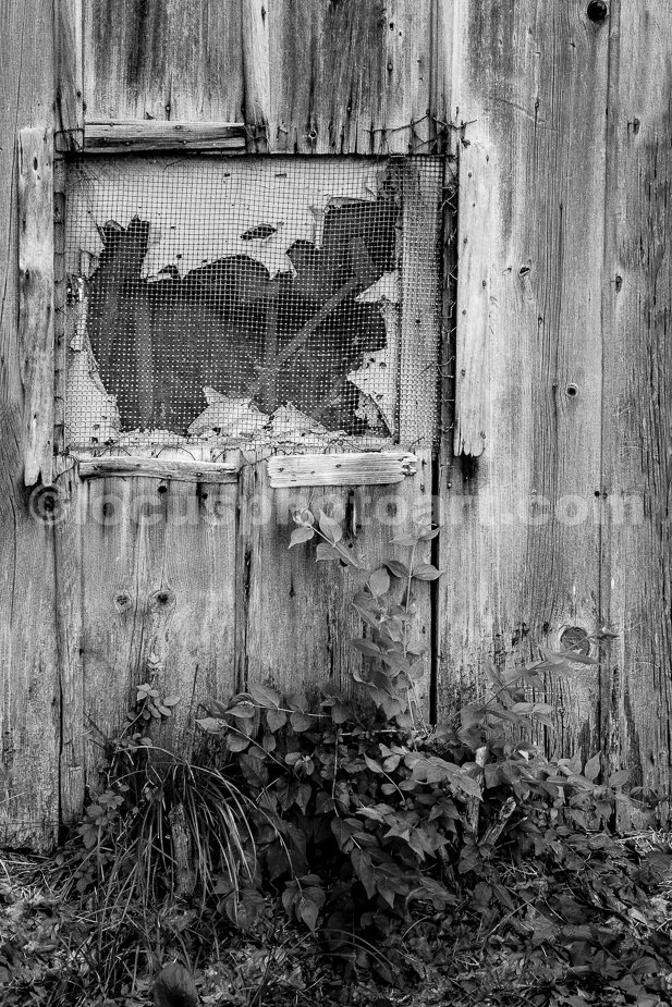J24_Poultry_Barn_Window_9343_BW.jpg