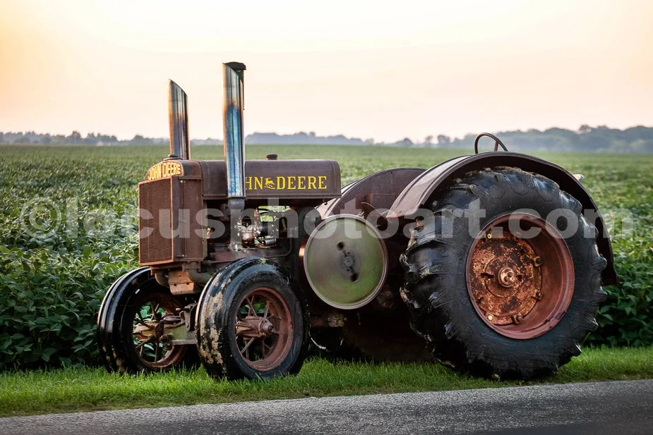J23_Deere_by_the_Side_of_the_Road_9443.jpg