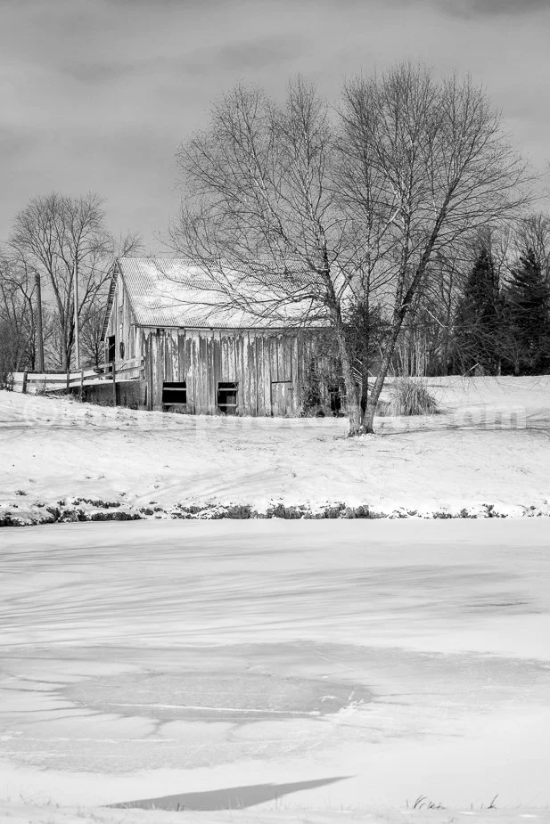 J21_Barn_with_Frozen_Pond_4723_BW.jpg
