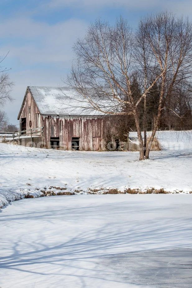 J21_Barn_on_Frozen_Pond_4758.jpg