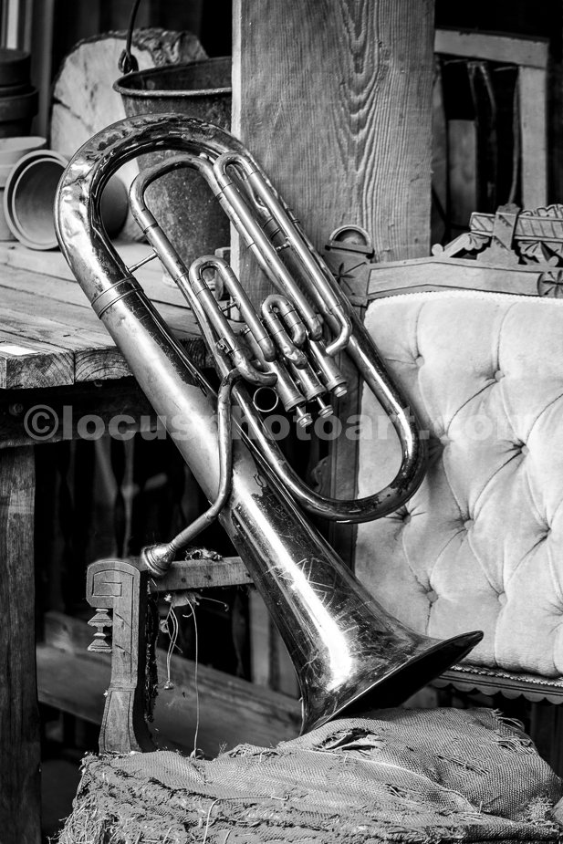 J23_Euphonium_from_the_Last_Millenium_5153_BW.jpg