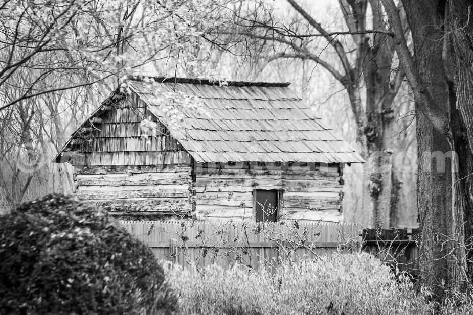 J19_Backyard_Cabin_5717_BW.jpg