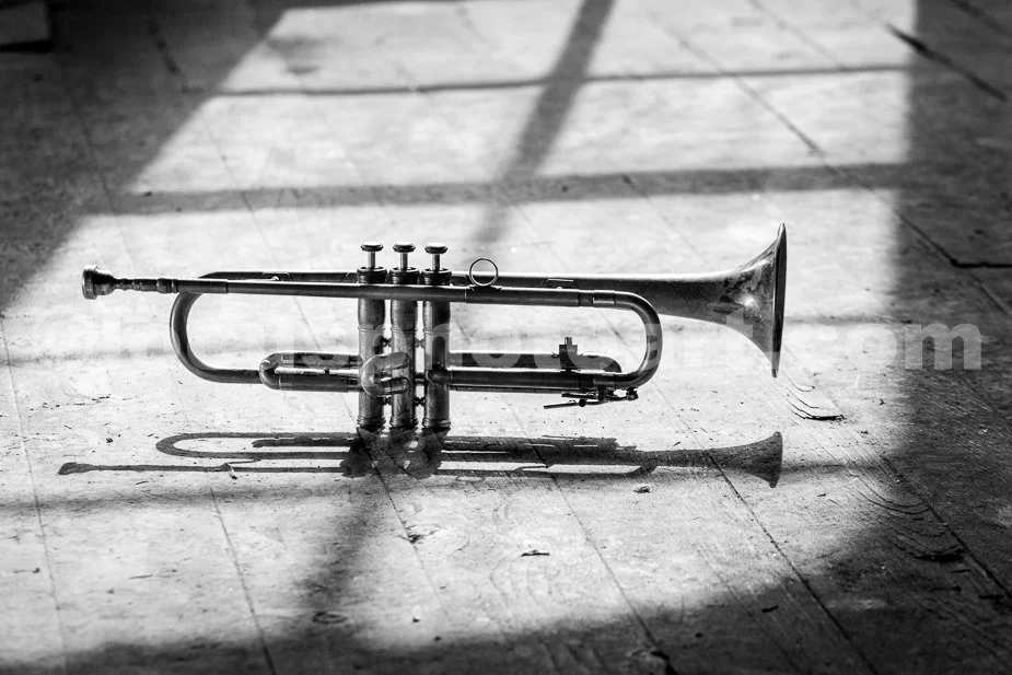 J21_Trumpet_Shadow_Play_5019_BW.jpg
