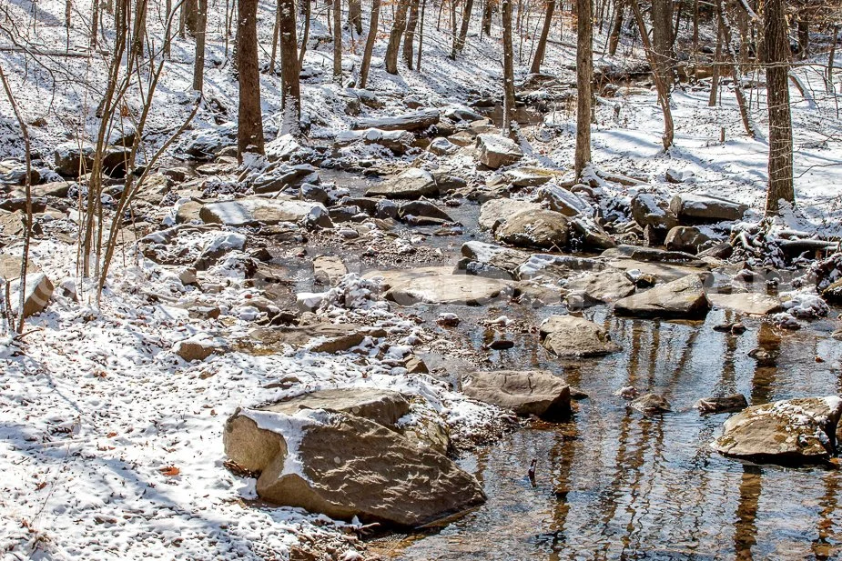 J21_Wandering_Winter_Stream_4572.jpg