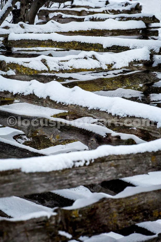 J21_Snow_on_the_Split_Rail_Fence_4068.jpg