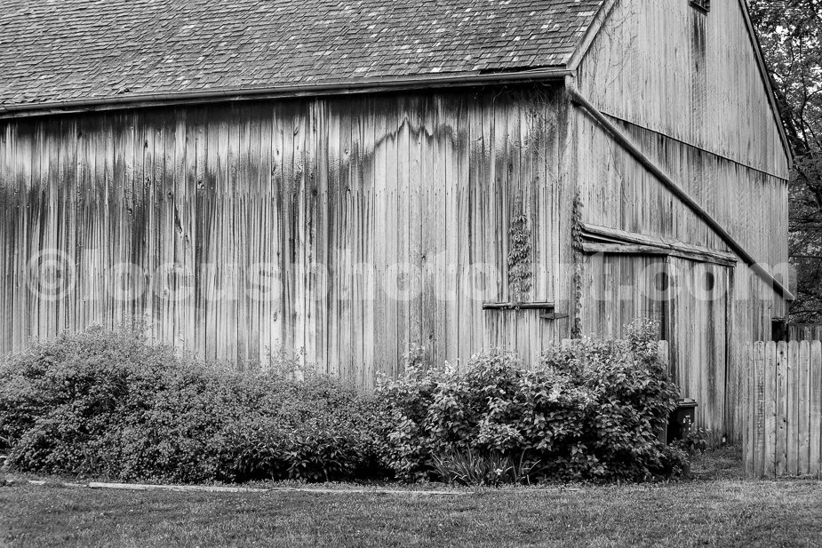 J19_Barn_in_the_Backyard_0307_BW.jpg