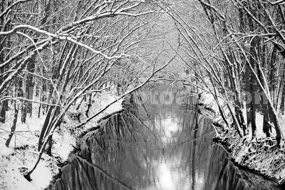 J14_Silver_Creek_Snow1925_BW.jpg