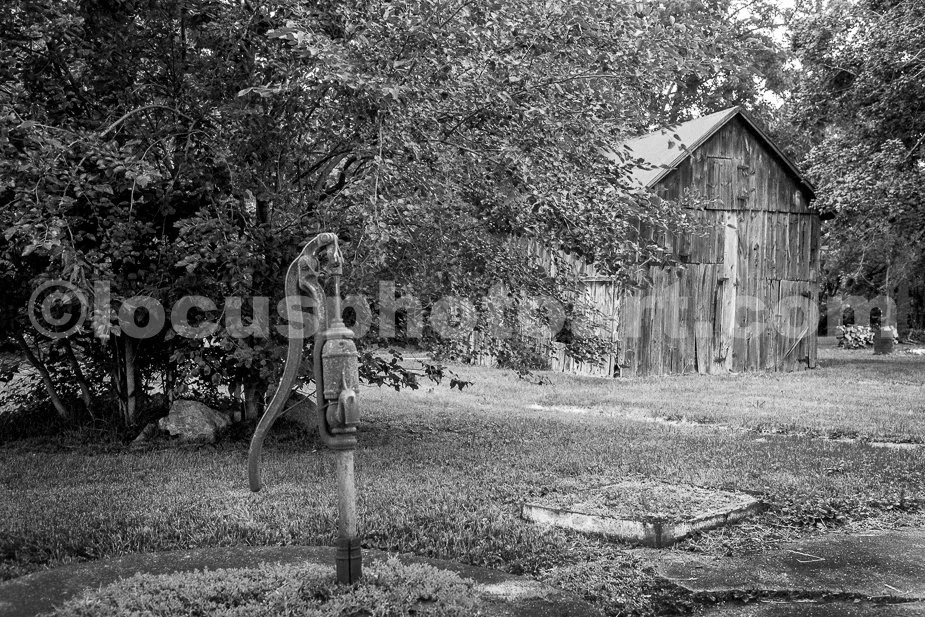 J24_Grandma_s_Backyard_9431_BW.jpg