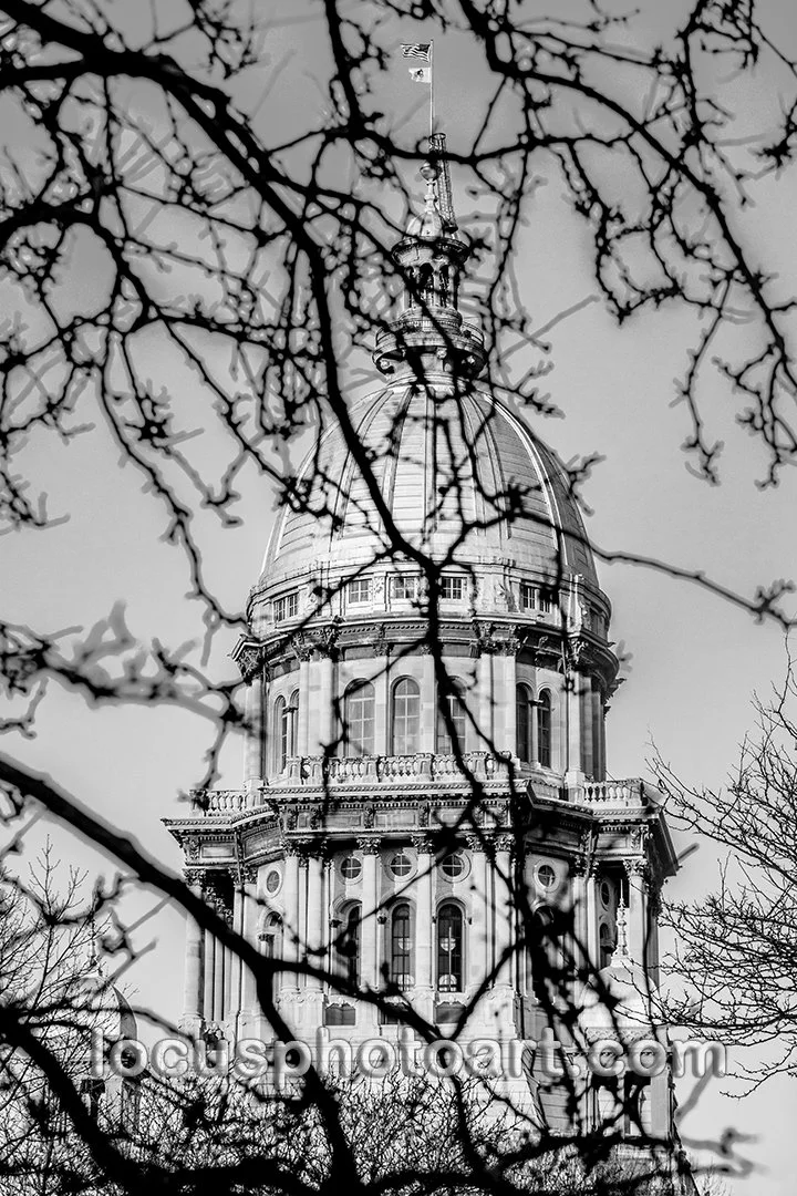 J22 Capitol Through the Trees 0761 BW FB.jpg