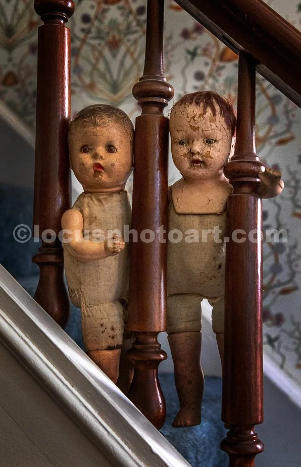J24_Creeping_Down_the_Stairs_7393.jpg