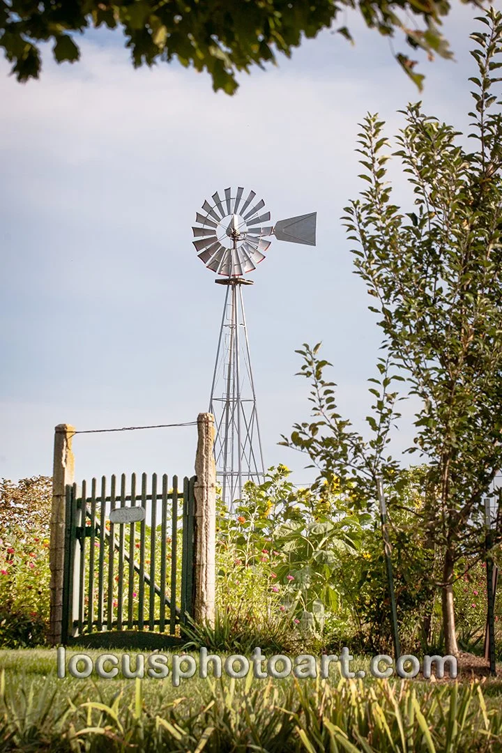 Gate & Windmill 7696 FB.jpg