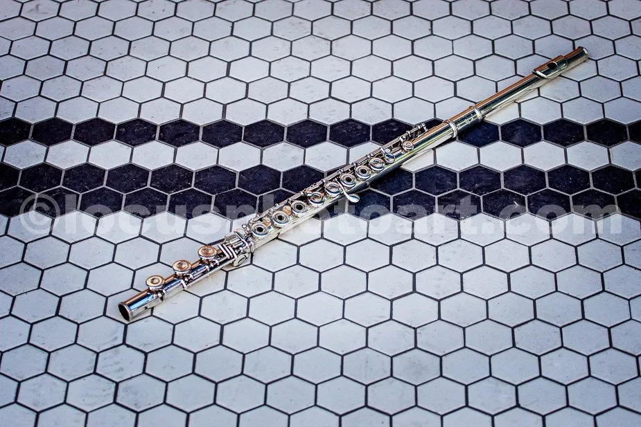 J23_Flute_on_the_Floor_5098.jpg