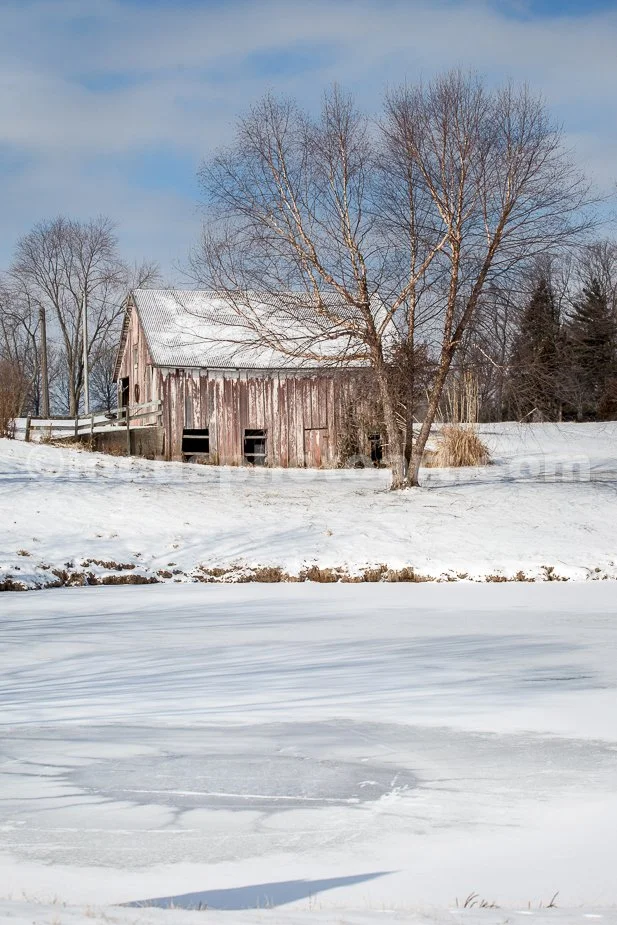J21_Barn_with_Frozen_Pond_4723.jpg