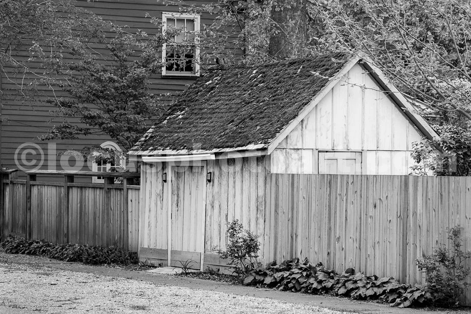 J19_Shed_with_the_Mossy_Roof_0092_BW.jpg